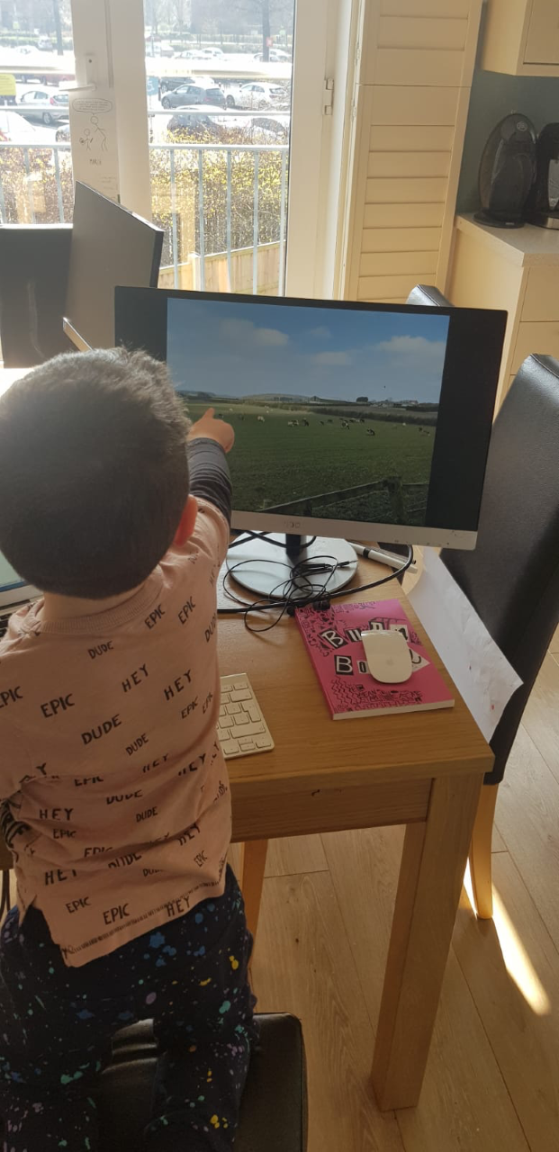 Kye counting the cows!